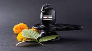 મહાશિવરાત્રીના દિવસે શિવલિંગ પર બેલપત્ર કેવી રીતે ચઢાવવું? અહીં જાણો તોડવા અને ચઢવાના નિયમો