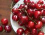 2023_3image_13_59_210843082maincherry-ll