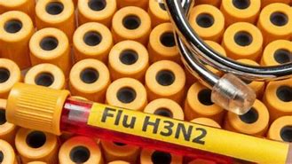 દેશના ઘણા રાજ્યોમાં H3N2 વાયરસનો કહેર – મહારાષ્ટ્રમાં 2 દર્દીઓના થયા મોત
