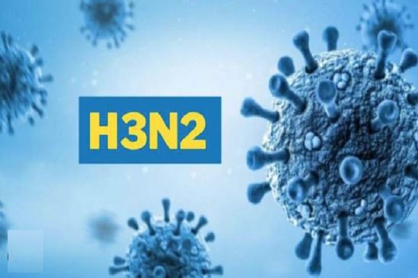 ગંભીર બીમારીથી પીડિતા દર્દીઓને કોવિડ-19ની જેમ H3N2 વાયરસનું વધારે જોખમઃ AMC