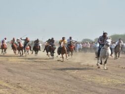 JAMNAGAR, HOURSE RACING