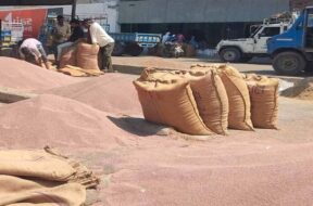 harij market yard