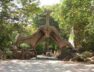 indroda park, Gandhinagar