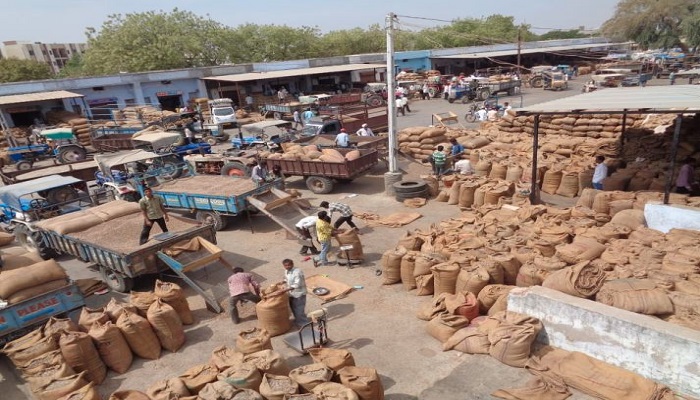 ગુજરાત સરકાર દ્વારા ઘઉં, બાજરી, જુવાર, અને મકાઈની ટેકાના ભાવે સીધી ખરીદી કરાશે