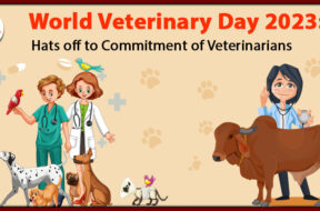 MicrosoftTeams-image-1024