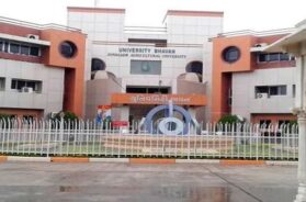 junagadh krushi uni
