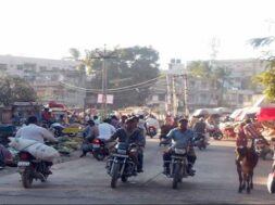 MAHUVA MARKET YARD