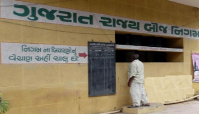 બીજ નિગમ દ્વારા બિયારણ માટે ખરીદાતા પાકના ખેડુતોને પુરતા ભાવ આપવા કૃષિમંત્રીની સુચના