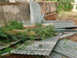 strong wind blew the roofs off