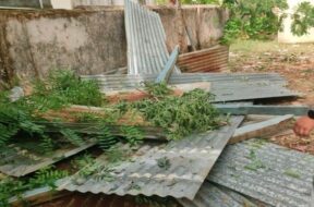 strong wind blew the roofs off