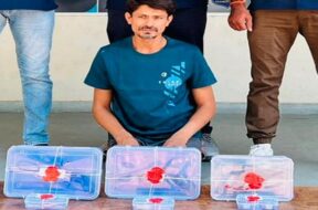 Accused robbery caught
