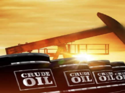 oil