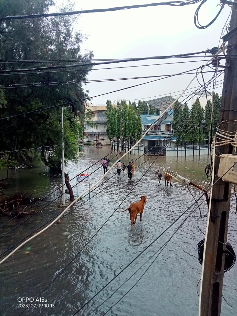 ગીર-સોમનાથ જીલ્લામાં વરસાદનો કહેર , વડુમથક ગણાતા વેરાવળમાં ચારેતરફ પાણી જ પાણી