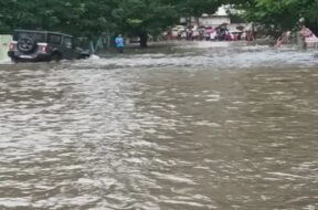 Rain, vapi