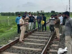 amreli,lion, accident