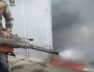 mosquitoes, fogging