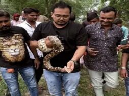 sanand, catch the python