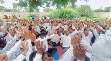 surendranagar, agariya