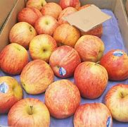 હિમાચલમાં કુદરતી આફતની અસર સફરજન પર વર્તાશે – ટામેટા બાદ હવે સફરજનના ભાવમાં થઈ શકે છે વઘારો