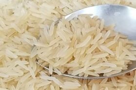 Rice