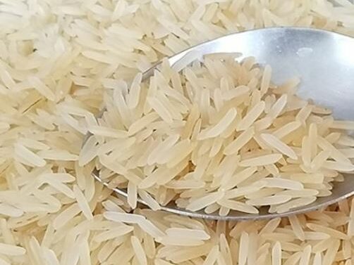 Rice