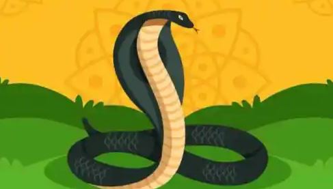 આજે છે નાગપંચમી,ન કરશો આ ભૂલ