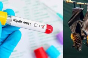 Nipah-virus-outbreak-in-Kerala-intensifies-sixth-case-reported