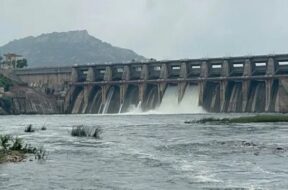 dharoi dam