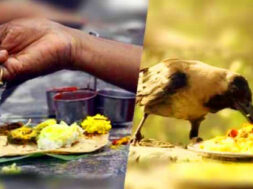 pitru-paksha