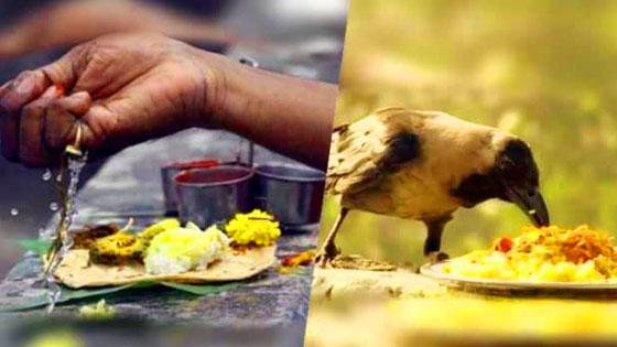 પિતૃ પક્ષ દરમિયાન આ ભોજનથી રહેજો દુર,અને કેટલીક બાબતોનું રાખજો ધ્યાન