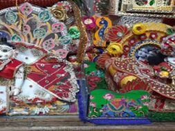 shree krina