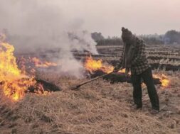 stubble burning