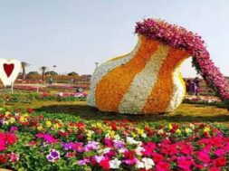 flower show in ahmedabad