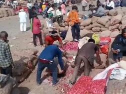 Bhavnagar, market yard, onion