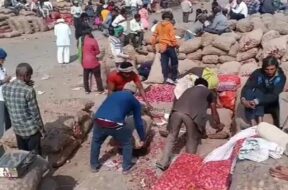 Bhavnagar, market yard, onion