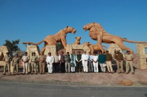 ambaradi safari park