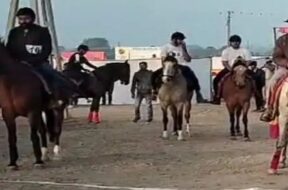 horse race