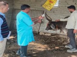 Banaskantha,