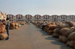 Rajkot market yard