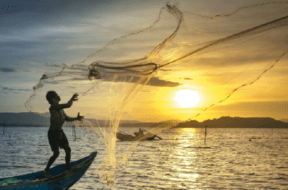 fisherman