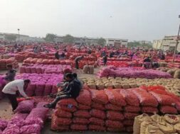 gondal yard
