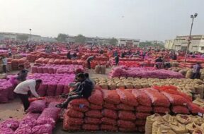 gondal yard