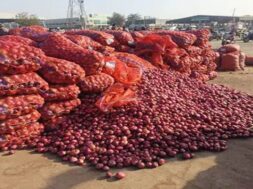 onion