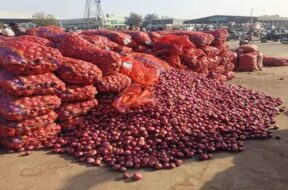 onion