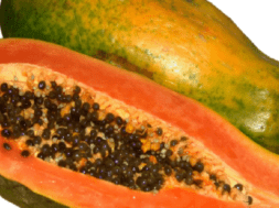 papaya