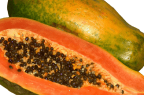 papaya