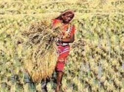 FARMING