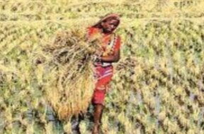 FARMING