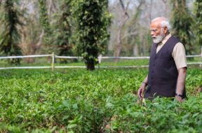 PM MODI 1