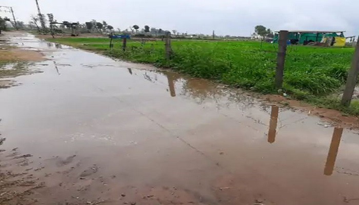 બનાસકાંઠામાં માવઠાથી ખેતરોમાં ભરાયાં પાણી, રાયડો. જીરૂ, બટાકા સહિતના પાકને નુકસાન